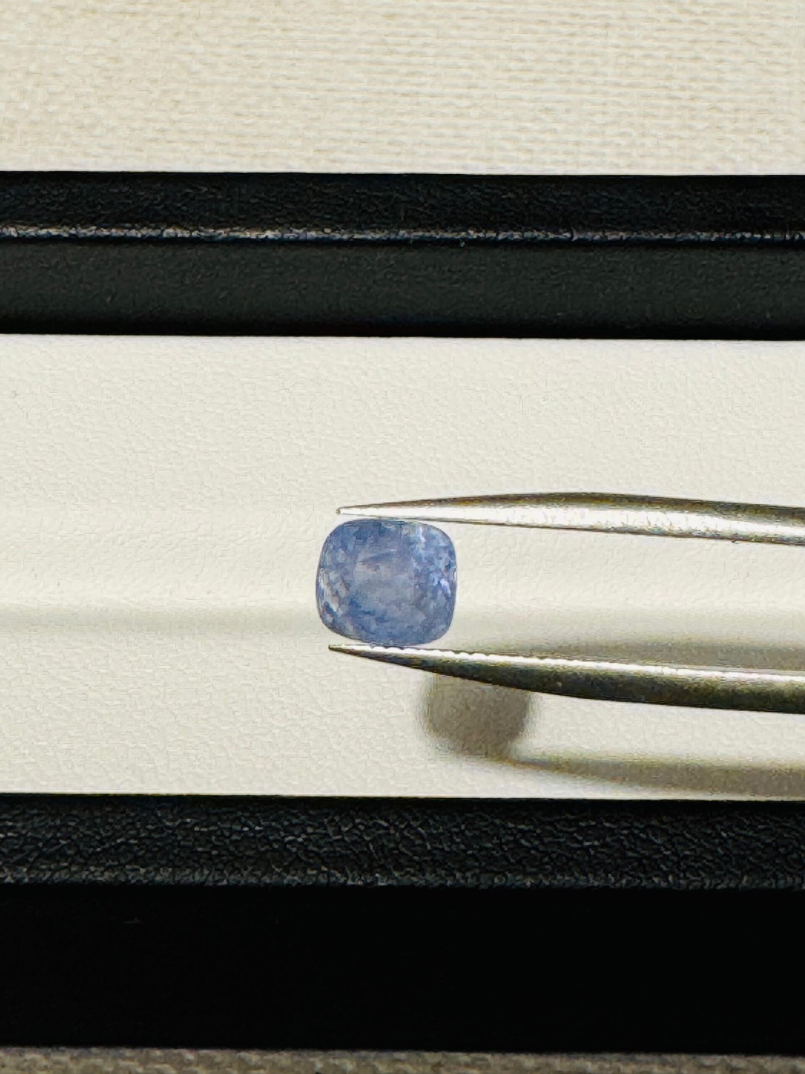 WhatsApp Image 2025-06-19 at 2.35.09 AM (1)