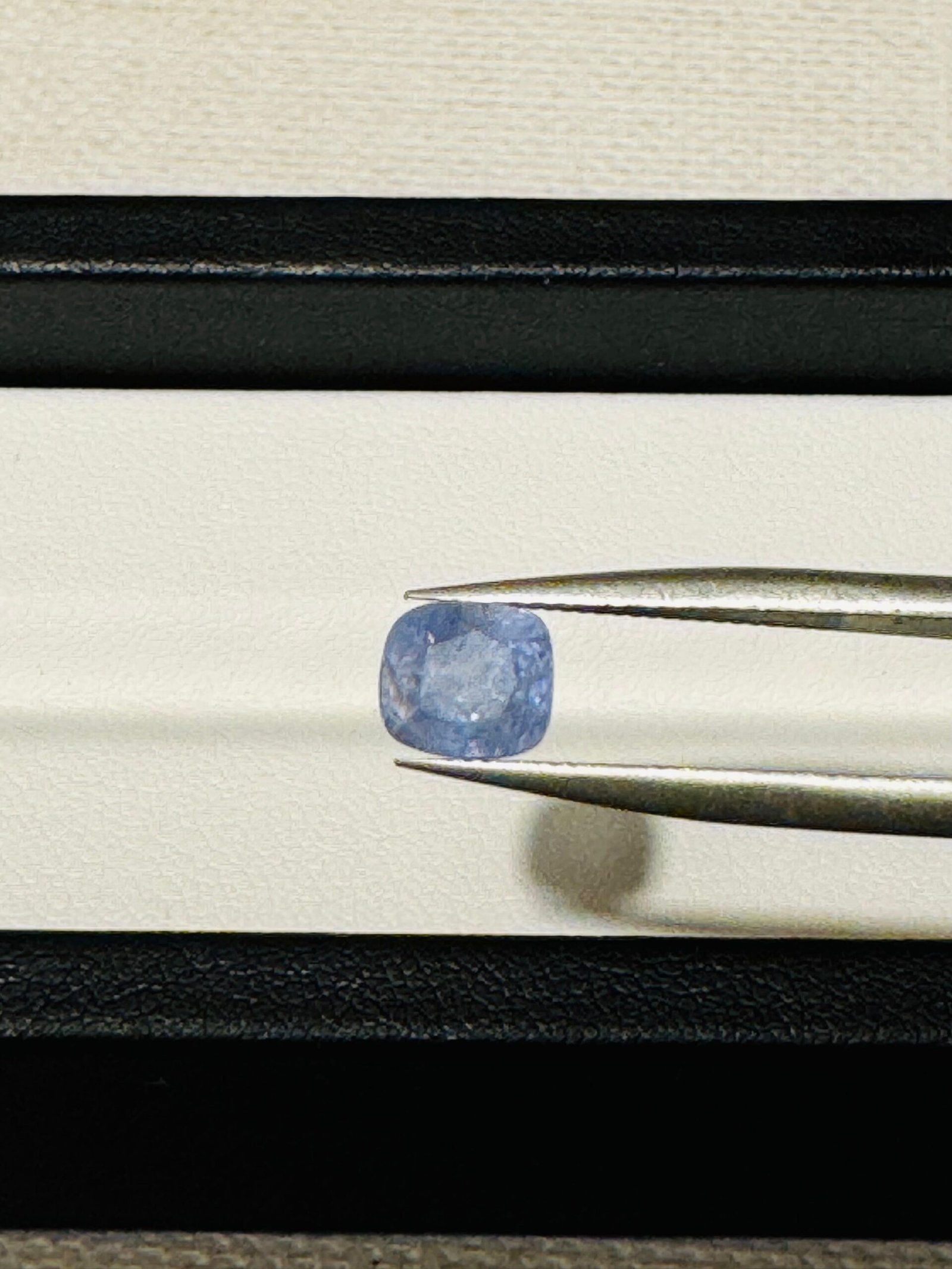 WhatsApp Image 2025-06-19 at 2.35.09 AM