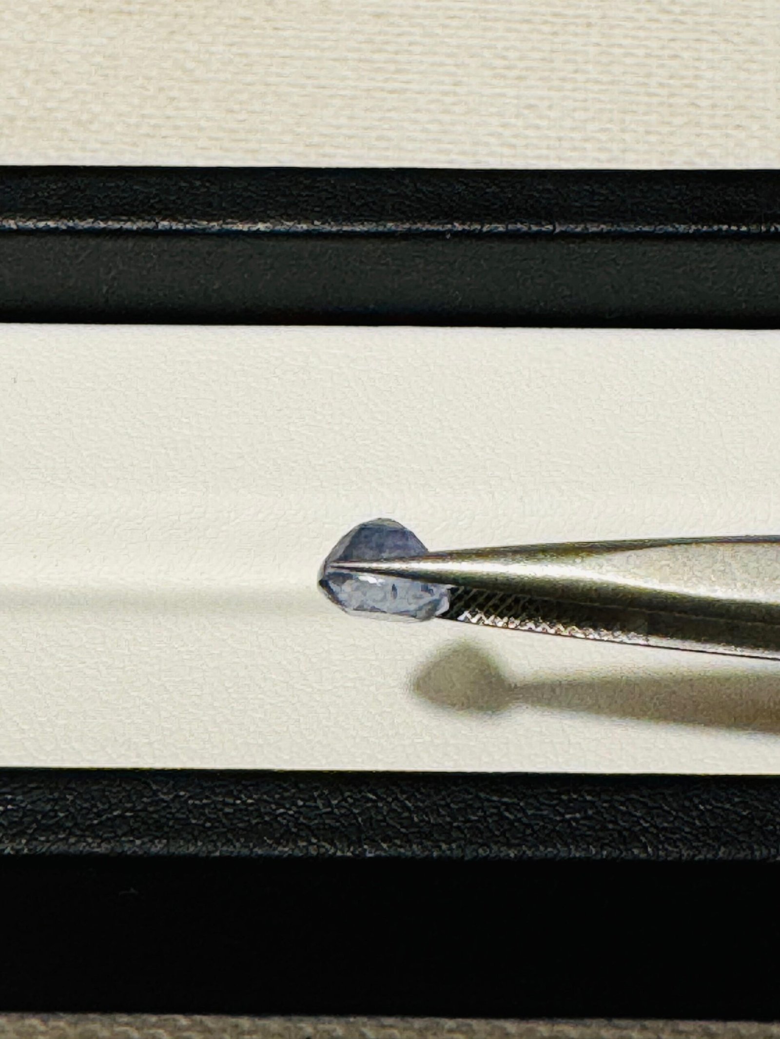 WhatsApp Image 2025-06-19 at 2.35.10 AM